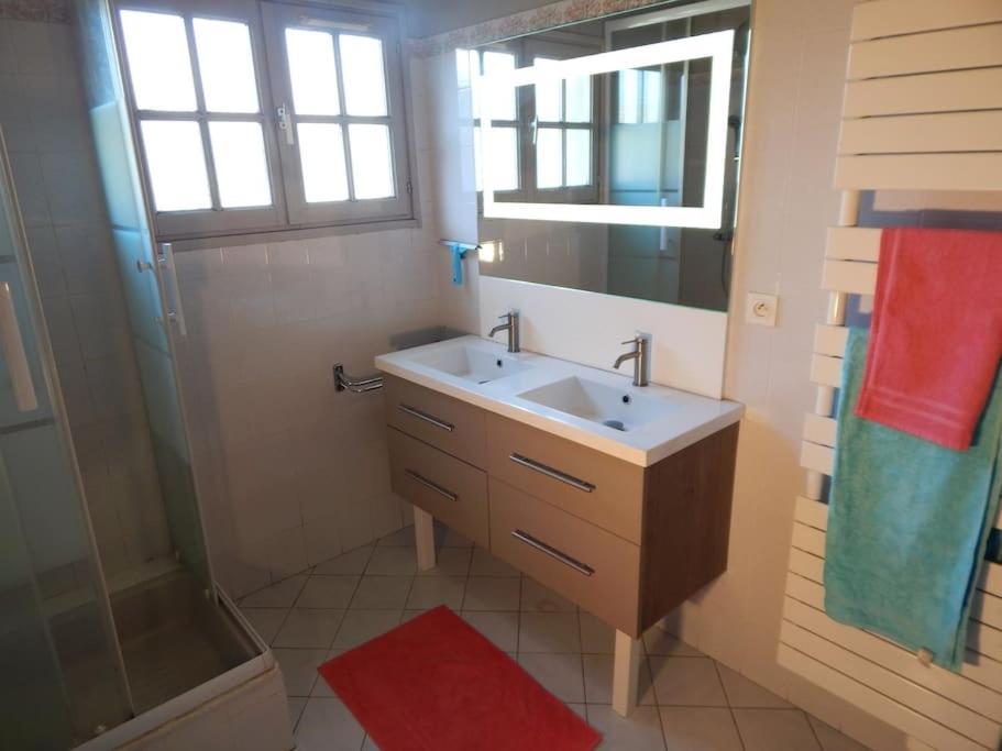 St Malo Maison Avec Jardin Proche Gare Plage Intramuros Chien Admis Parking Gratuit سان مالو المظهر الخارجي الصورة